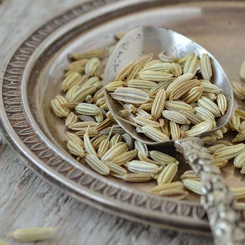 Fenchelsamen auf einem Silberlöffel.
