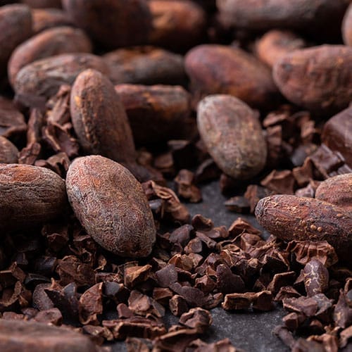 Kakaoschalen
